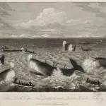 The North Cape, New Zealand, and Sperm Whale Fishery