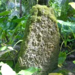 Haputo latte site photos by Leslie Reynolds