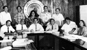 The Commission on Self-Determination 1987