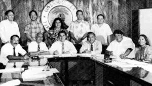 The Commission on Self-Determination 1987