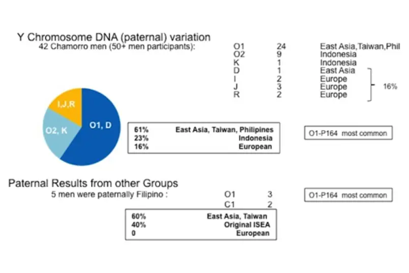 Paternal DNA - Guampedia
