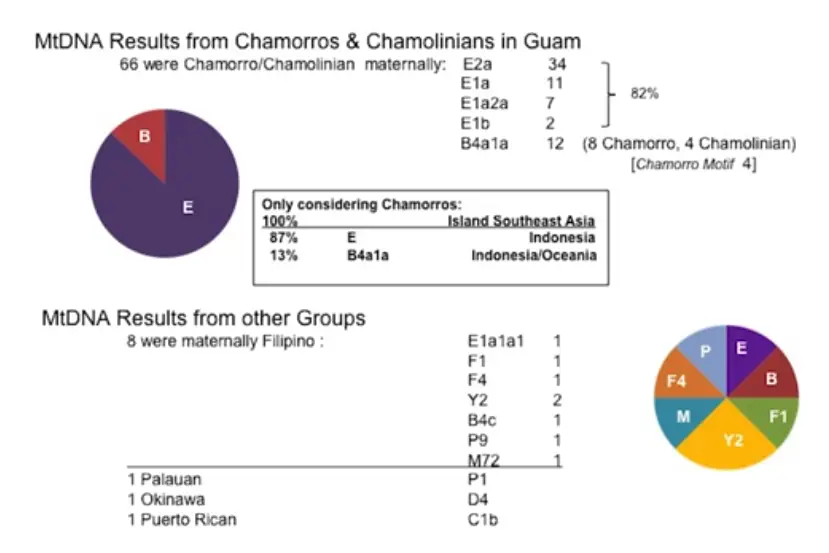 Maternal mtDNA - Guampedia