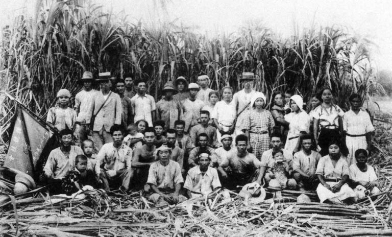 Sugarcane farmers during the Japanese Administration in Saipan, 1930s. Micronesian Area Research Center (MARC) collection.