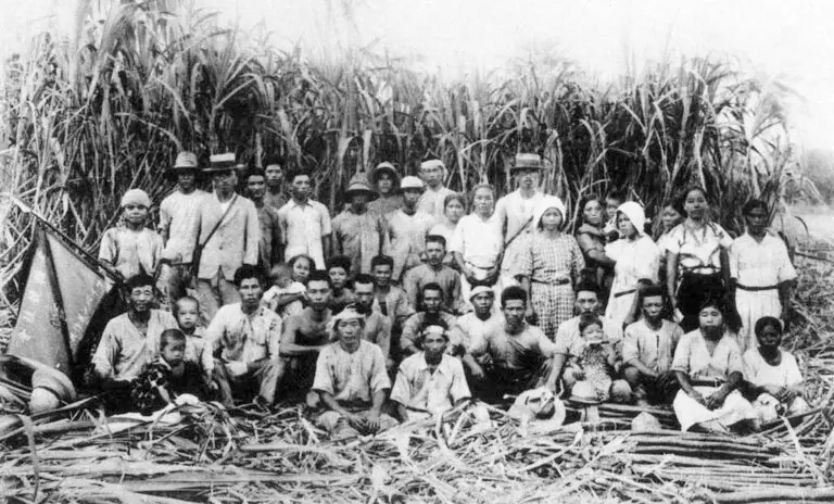 Sugarcane farmers during the Japanese Administration in Saipan, 1930s. Micronesian Area Research Center (MARC) collection.