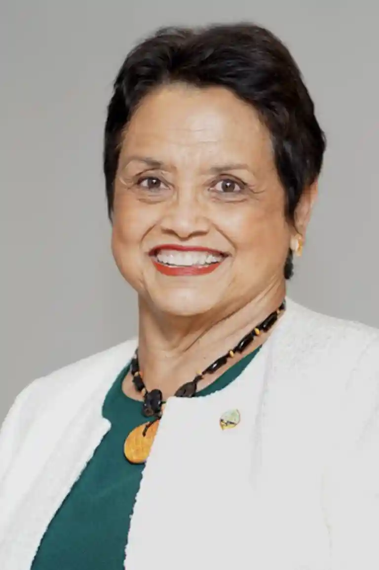 Gov. Lou Leon Guerrero profile.