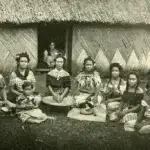 Tonga Kava, 1905