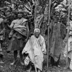 Tribe of the Cook Islands