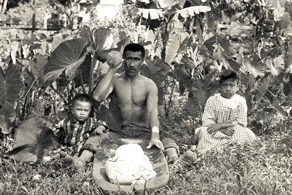 Hawaiian Pounding Taro