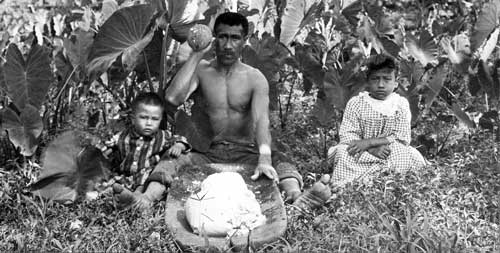 A Hawaiian man pounding taro to make poi, 1890s. Photo from Bonhams courtesy of Wikimedia Commons.