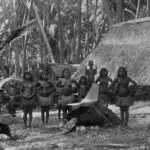 Arenibek, Nauru 1896