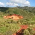 Figure 4. Off-roading trails behind Leo Palace Resort in the Pago Watershed, Guam. The consistent use of these trails deepens the erosion preventing soil from recovering, and destabilizes the surrounding healthy soil patches. Photo from S. Raymundo (2015), used with permission.