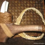 Figure 5 higam hima