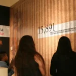 Gallery 6