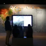 Gallery 7