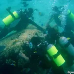 Figure 3 Dive Guide