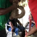 Kava Featured Image