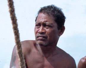Click for image source. Papa Mau