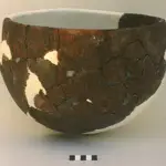 Pot