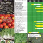 Guam Island-Fresh Vegetable