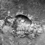 Pillbox Search, 1944