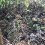 Figure 2 Karst Terrain