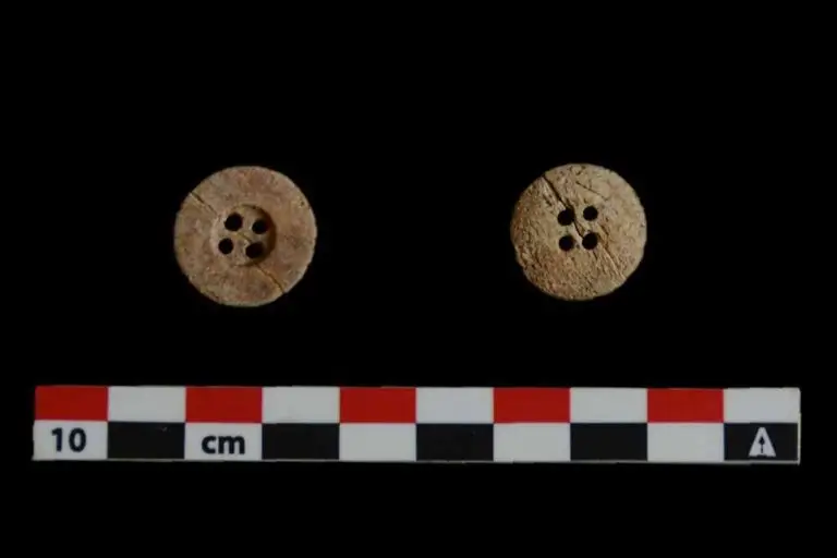 The Aberigua Project: Figure 5