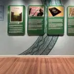 7 Envisioning and Enacting copy