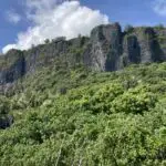 Environmental Sustainability