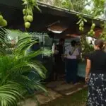 Mango Fest