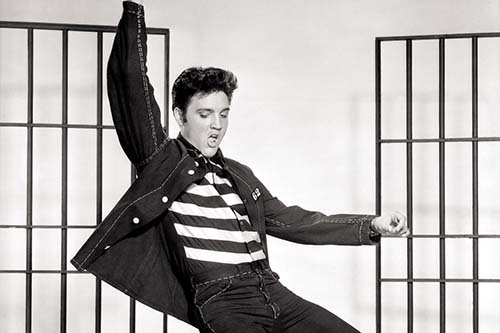 Elvis