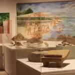 Museum Open