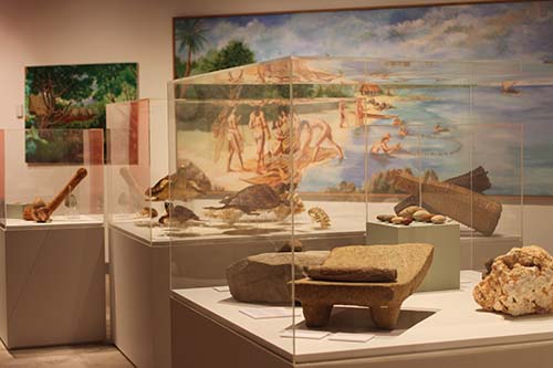 Museum Open