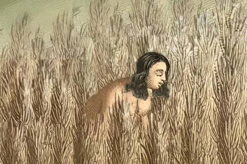 Dry Rice
