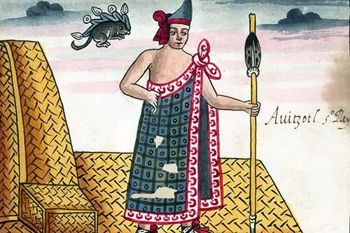 Auitzotl
