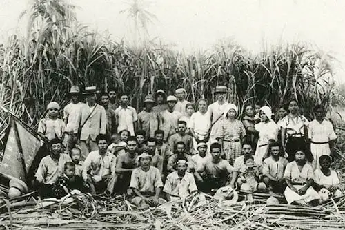 Sugarcane Farmers