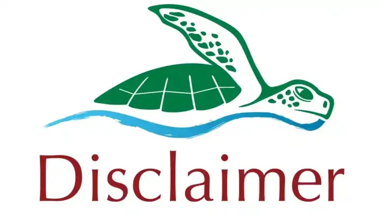 Disclaimer​