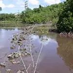 Gigao 2_Site_T-35_view_N