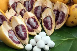 Pugua Mamåon Chewing Quid