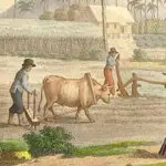 Spanish Era-Rare