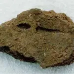 Use of Rice Rice Imprint 3