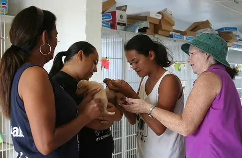 The new members of the family are being greeted and examined by GAIN staff Nathalie Pereda Guampedia