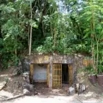 NPS History & Culture
