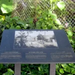 Old San Dionisio Signage