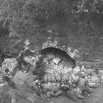 Pillbox Search, 1944
