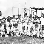 Baseball Youth League