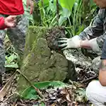 Heritage Sites