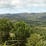 Santa Rita