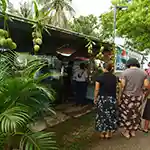 Village Page