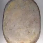 Japanese Stragglers Figure 8a
