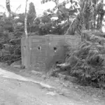 Pillbox, 1944